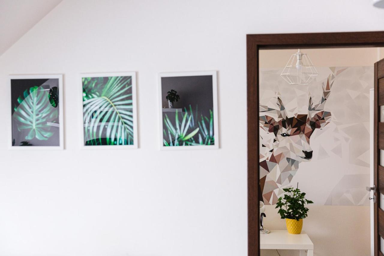 Apartament W Centrum Ustrzyki Dolne Exteriér fotografie